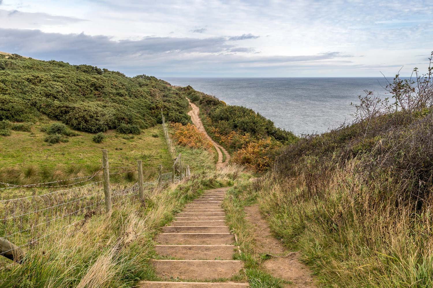 Wooden steps on the Cleveland Way clifftop path near Ravenscar, the track running on ahead with the North Sea to the right