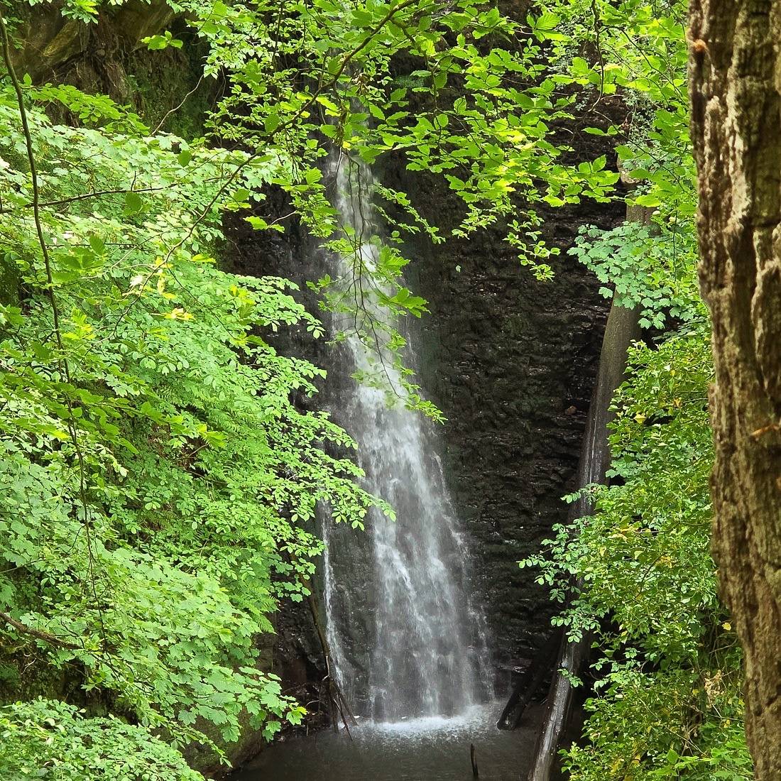 Falling Foss waterfall dropping into a dark plunge pool, surrounded by bright green woodland