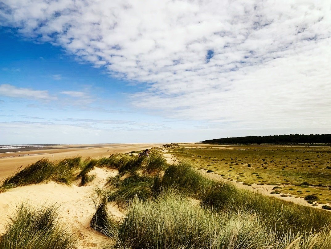 Marram-covered dunes in the foreground with the wide beach running away east and the dark green line of the Holkham pine belt on the horizon