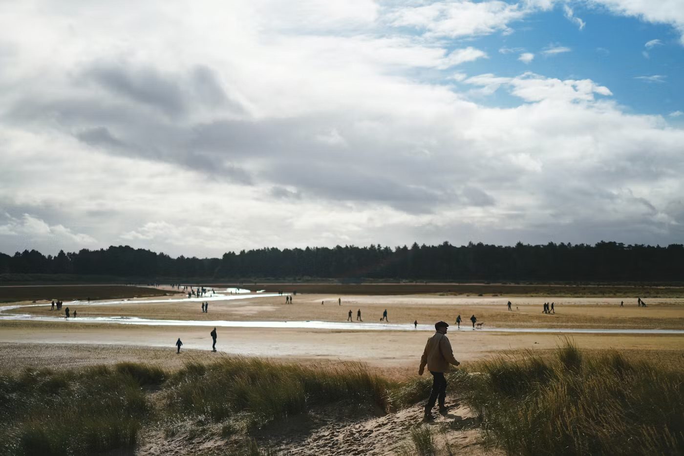 The wide expanse of Holkham beach backed by dark pine woods, with walkers scattered across the sand at low tide