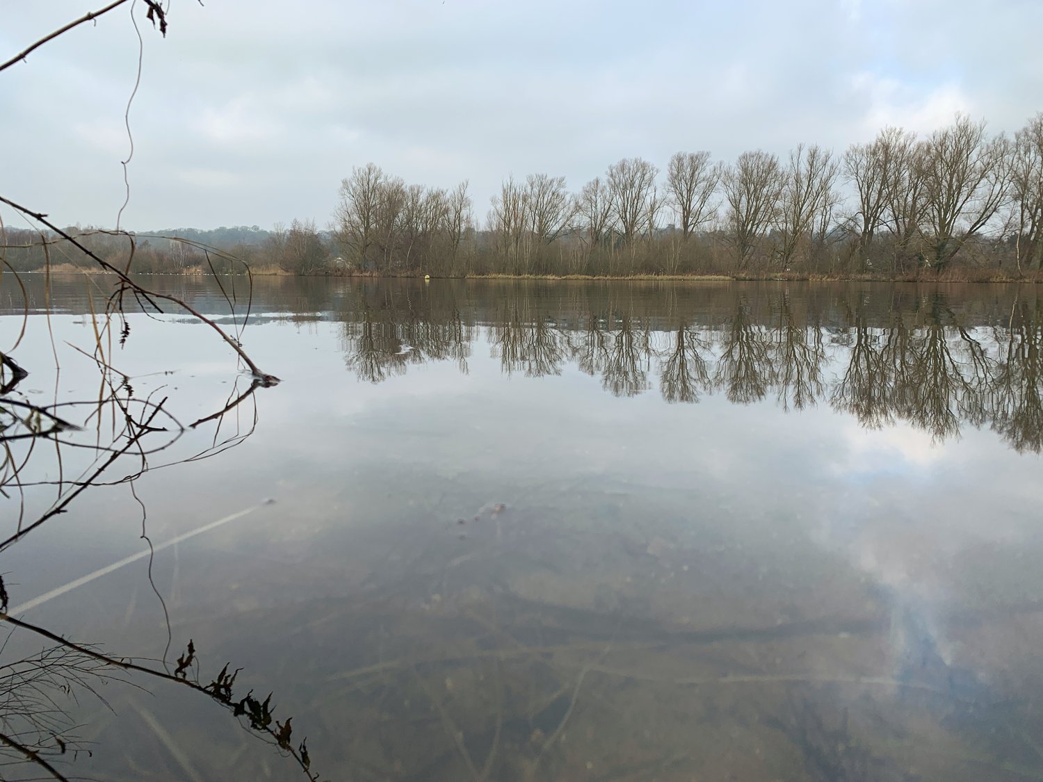 Whitlingham Great Broad on a still morning, bare trees reflected in flat water